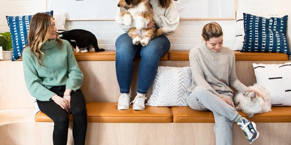 Pet-friendly Places in Chelsea