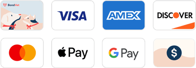 Payment Options Icons