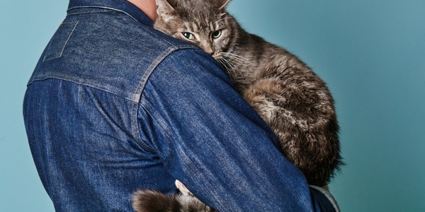 Cat First Aid: Essential Supplies and Basic Procedures