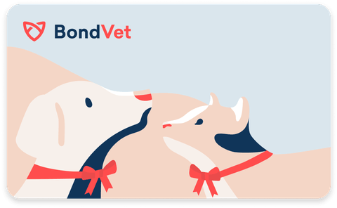 Image of a Bond Vet gift card, featuring an illustration of a dog and a cat.