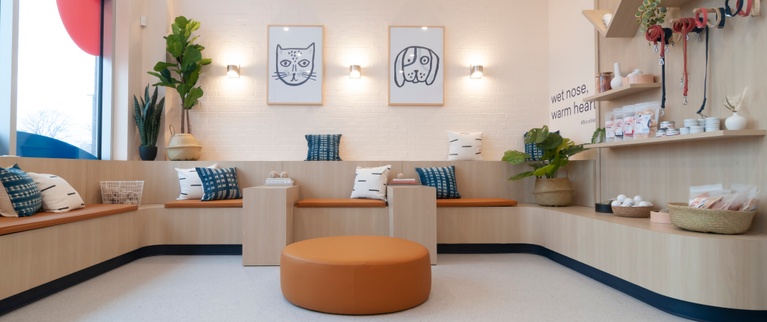 Modern veterinary waiting room with pet-themed decor and a seating area.