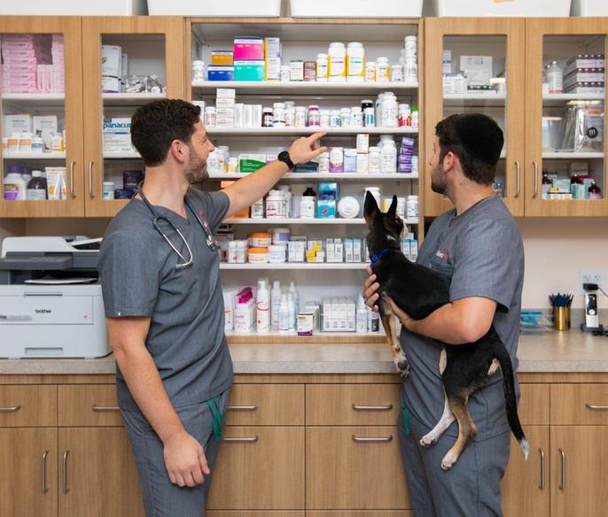 Vets picking out medication for pet