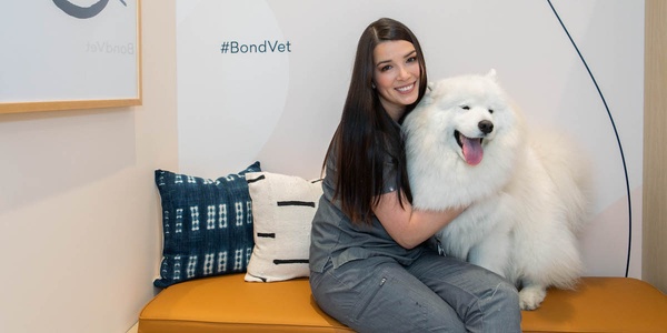 Veterinarian smiling while sitting next to a happy samoyed dog under a sign reading "wet nose, warm heart" at bond vet clinic.