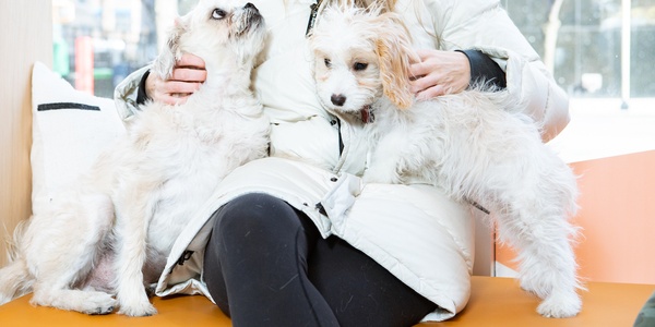 Woman in a white jacket sitting with two small dogs on a bench indoors.