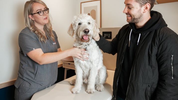 Vet and owner with white dog