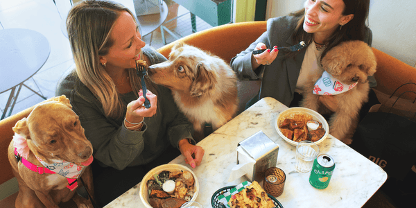 Two women enjoying a meal at a cafe with their dogs.