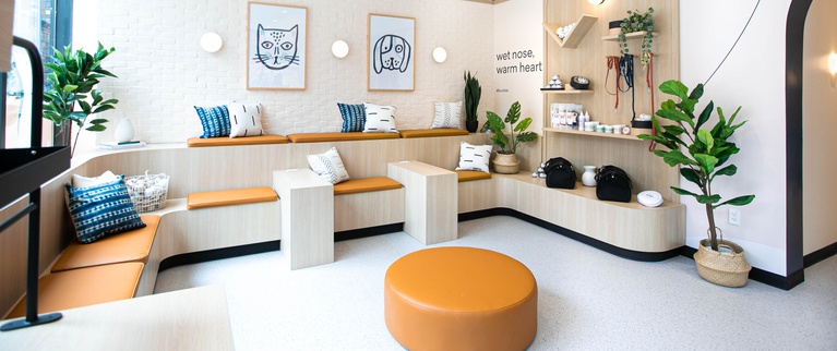Modern waiting area with comfortable seating, decorative pillows, and wall art in a bright, clean space.