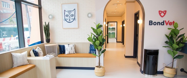 clean and thoughtfully designed vet clinic lobby_Bond Vet - Westport